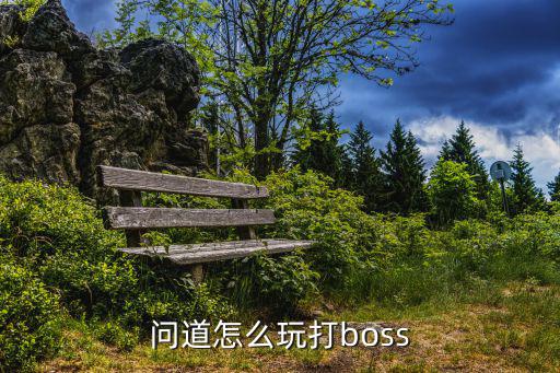 问道怎么玩打boss