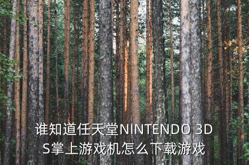 谁知道任天堂NINTENDO 3DS掌上游戏机怎么下载游戏