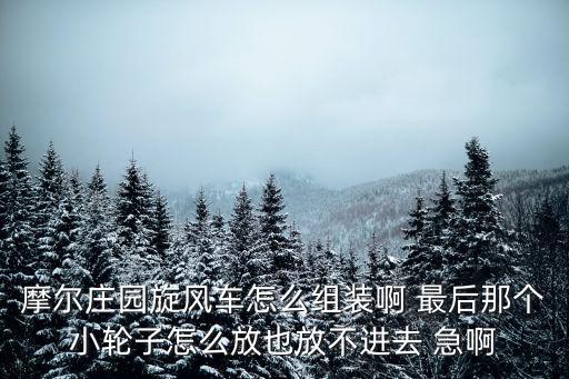 摩尔庄园旋风车怎么组装啊 最后那个小轮子怎么放也放不进去 急啊