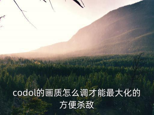 codol的画质怎么调才能最大化的方便杀敌