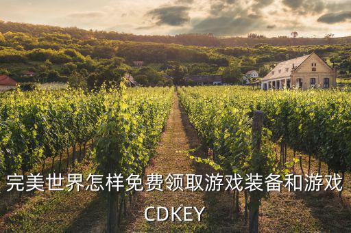 完美世界怎样免费领取游戏装备和游戏CDKEY