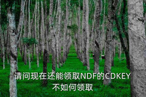 请问现在还能领取NDF的CDKEY不如何领取