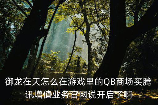 御龙在天怎么在游戏里的QB商场买腾讯增值业务官网说开启了啊