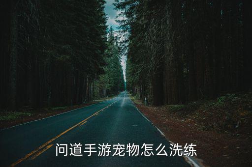 问道手游宠物怎么洗练