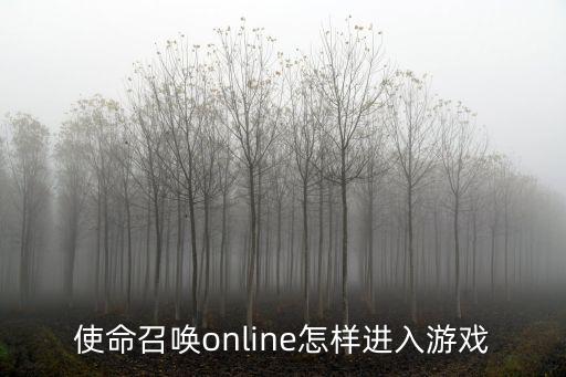 使命召唤online怎样进入游戏