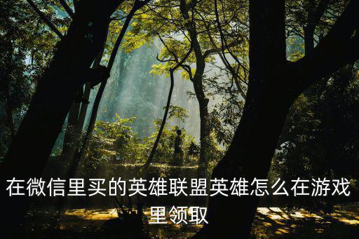 在微信里买的英雄联盟英雄怎么在游戏里领取