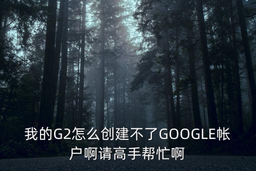 我的G2怎么创建不了GOOGLE帐户啊请高手帮忙啊