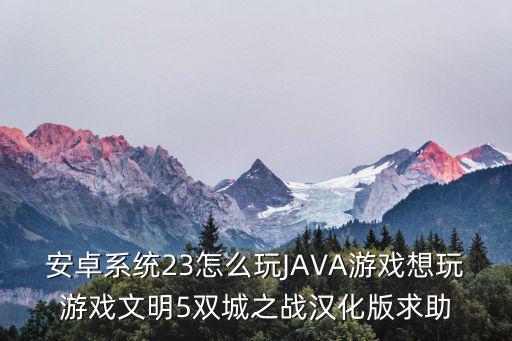 安卓系统23怎么玩JAVA游戏想玩游戏文明5双城之战汉化版求助