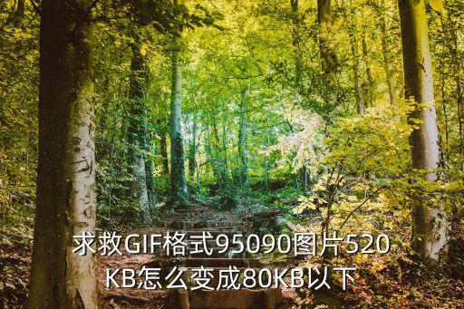 求救GIF格式95090图片520KB怎么变成80KB以下