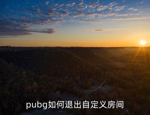 pubg如何退出自定义房间