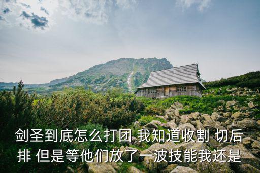 剑圣到底怎么打团 我知道收割 切后排 但是等他们放了一波技能我还是