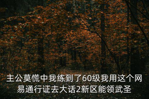 主公莫慌中我练到了60级我用这个网易通行证去大话2新区能领武圣