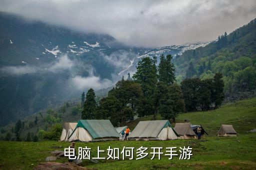 电脑上如何多开手游