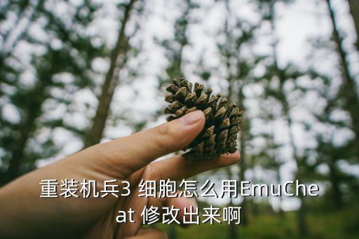 重装机兵3 细胞怎么用EmuCheat 修改出来啊