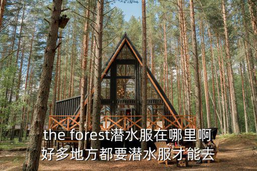 the forest潜水服在哪里啊好多地方都要潜水服才能去