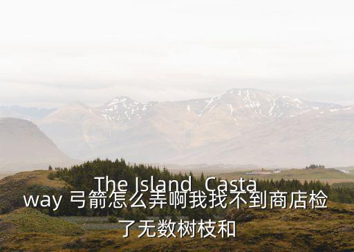 The Island  Castaway 弓箭怎么弄啊我找不到商店检了无数树枝和