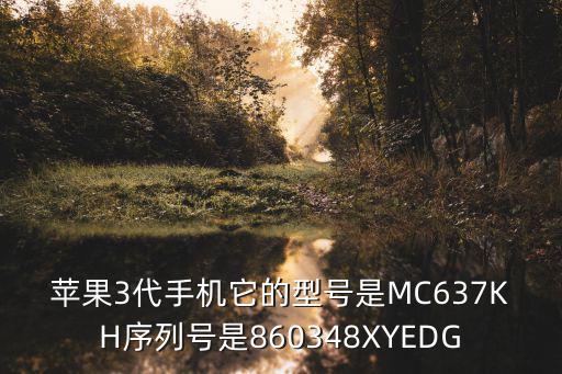 苹果3代手机它的型号是MC637KH序列号是860348XYEDG