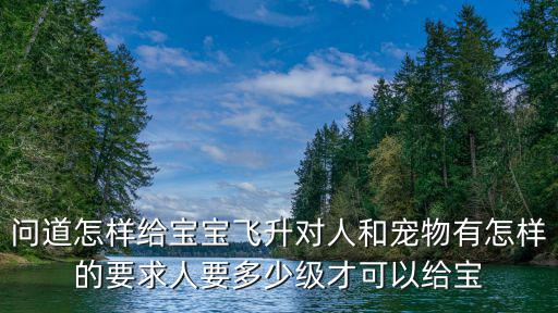 问道怎样给宝宝飞升对人和宠物有怎样的要求人要多少级才可以给宝