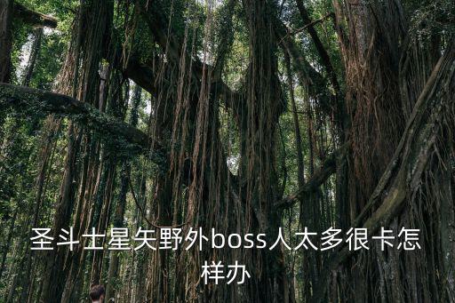 圣斗士星矢野外boss人太多很卡怎样办