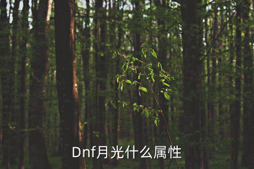 Dnf月光什么属性