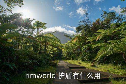 rimworld 护盾有什么用