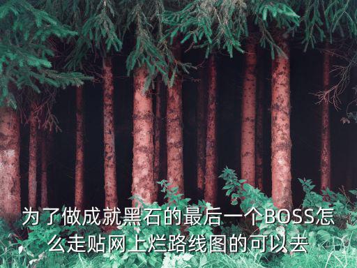 剑与远征手游黑石怎么打，为了做成就黑石的最后一个BOSS怎么走贴网上烂路线图的可以去