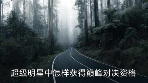 怎么样开启巅峰对决手游，王者荣耀巅峰赛怎么参加 巅峰赛参加方法分享