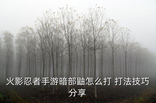 火影忍者手游怎么玩好晓鼬，火影忍者手游宇智波鼬的大招怎么说