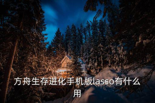 方舟生存进化手机版lasso有什么用