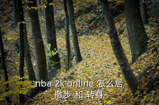 nba 2k online 怎么后撤步 和 转身