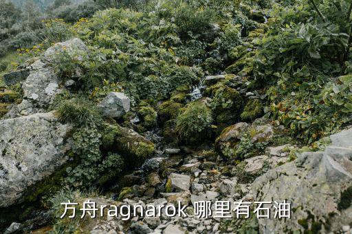 方舟手游怎么弄出来汽油，方舟ragnarok 哪里有石油