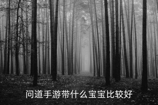 问道手游带什么宝宝比较好