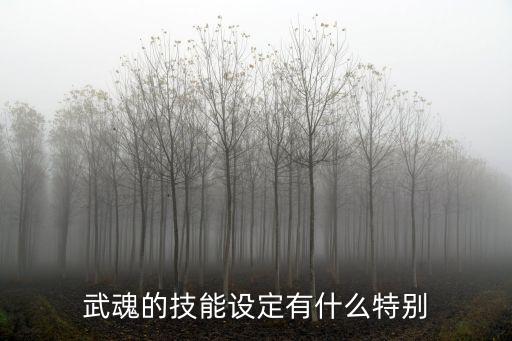 武魂的技能设定有什么特别