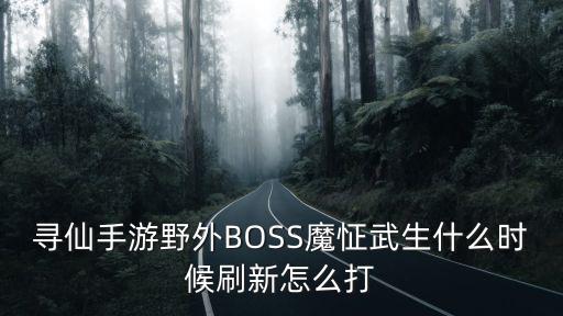 寻仙手游野外BOSS魔怔武生什么时候刷新怎么打