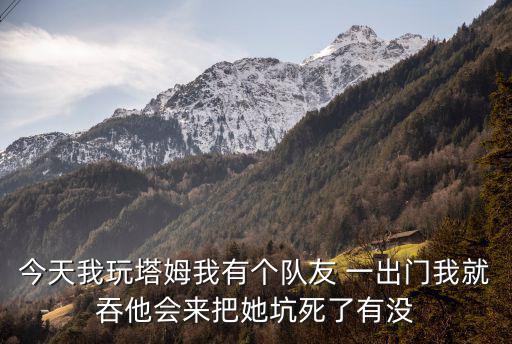 今天我玩塔姆我有个队友 一出门我就吞他会来把她坑死了有没