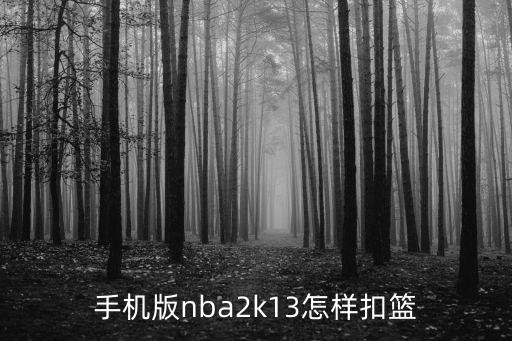 手机版nba2k13怎样扣篮