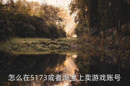 怎么在5173或者淘宝上卖游戏账号