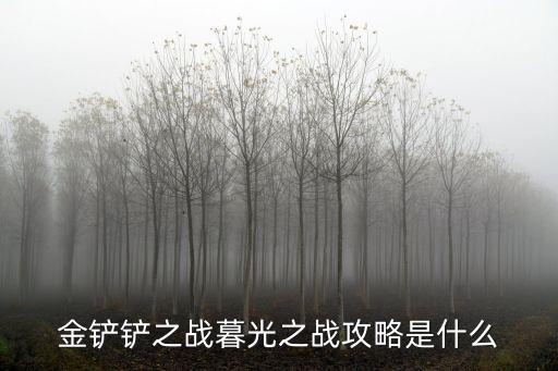 金铲铲之战暮光之战攻略是什么