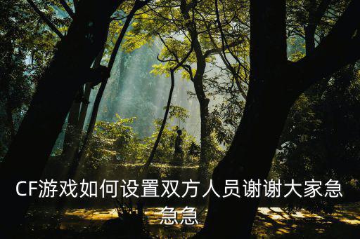 CF游戏如何设置双方人员谢谢大家急急急