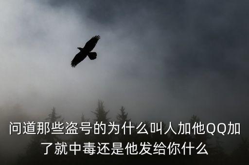 问道手游怎么那么多人加qq，问道那些盗号的为什么叫人加他QQ加了就中毒还是他发给你什么