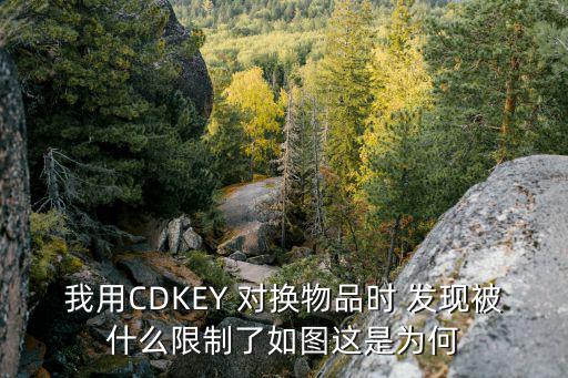 我用CDKEY 对换物品时 发现被什么限制了如图这是为何