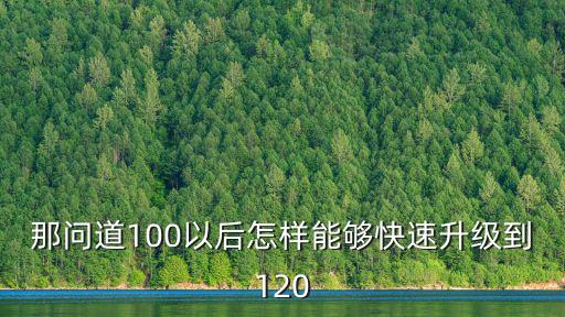 那问道100以后怎样能够快速升级到120