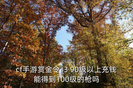 cf手游赏金令s3 90级以上充钱能得到100级的枪吗