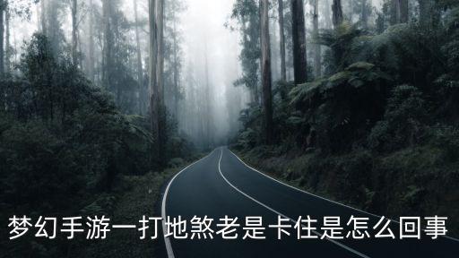 梦幻手游一打地煞老是卡住是怎么回事