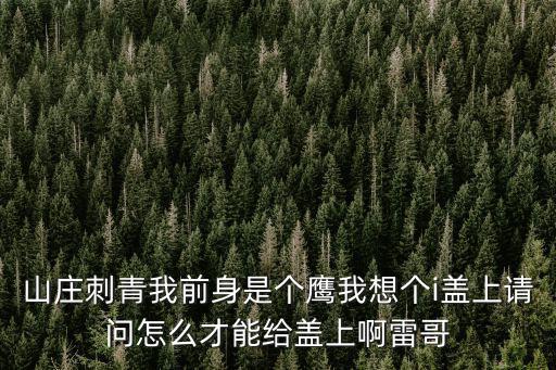 山庄刺青我前身是个鹰我想个i盖上请问怎么才能给盖上啊雷哥