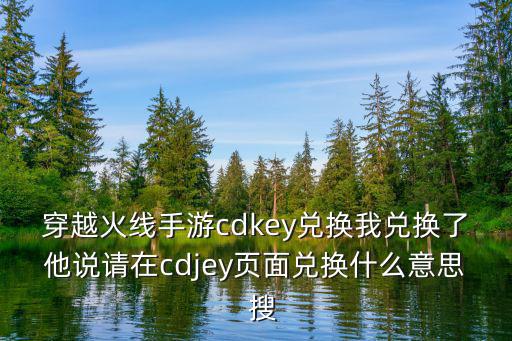 穿越火线手游cdkey兑换我兑换了他说请在cdjey页面兑换什么意思  搜