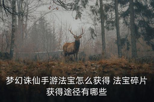 梦幻诛仙手游法宝怎么获得 法宝碎片获得途径有哪些