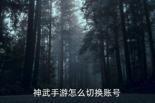 神武手游怎么切换账号