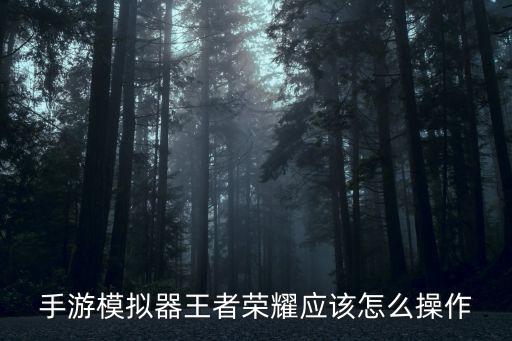 手游模拟器王者荣耀应该怎么操作