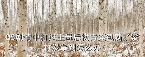 85剧情中打过王母后找青莲包满了紫竹没拿到怎么办